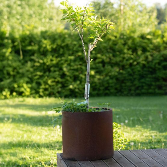 GrillSymbol Corten Steel Planter Myy XXL, รธ 80 cm