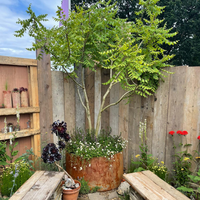 Hampton β Corten Steel Bottomless Cylindrical Planter