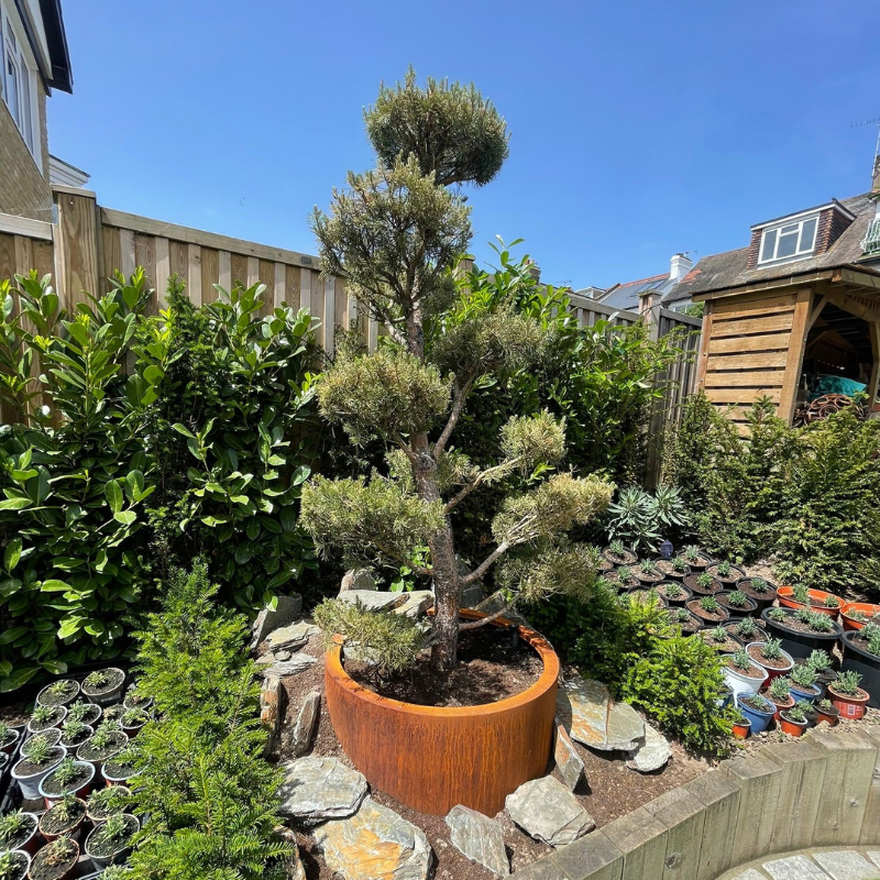 Henley – Corten Steel Cylindrical Planter