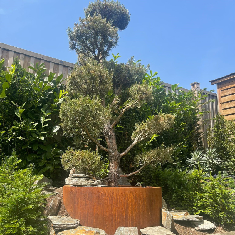 Henley – Corten Steel Cylindrical Planter