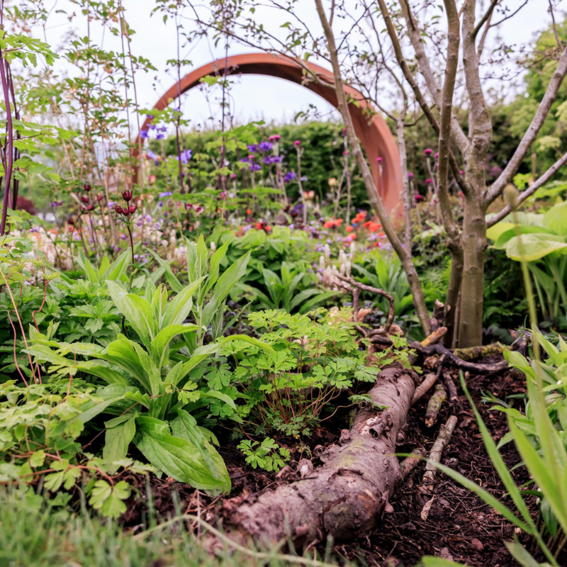 Corten Steel Helix Moongate Arch