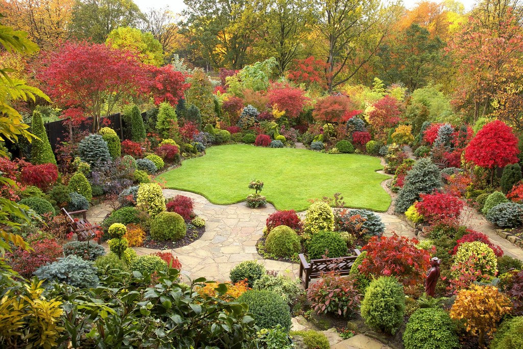 Back to School, Back to the Garden: Reclaiming Your Outdoor Space