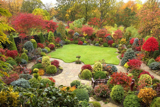 Back to School, Back to the Garden: Reclaiming Your Outdoor Space