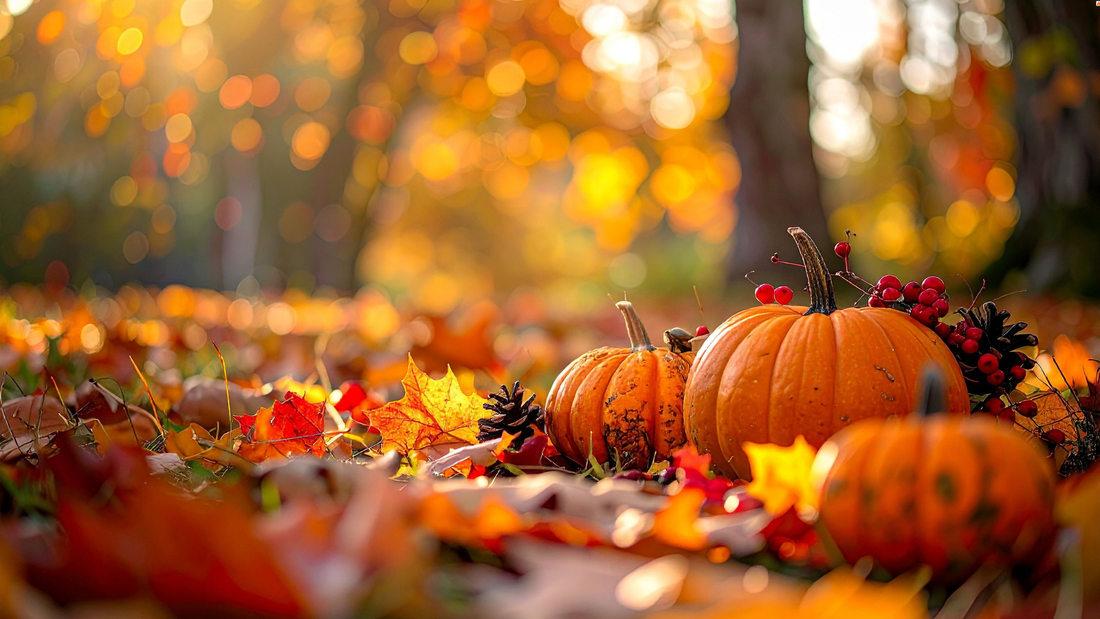 A Little Spooky, A Lot Cosy: Your Guide to Halloween Outdoors
