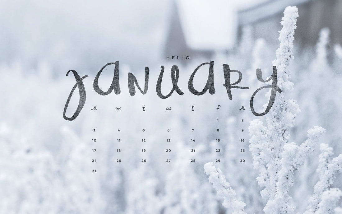 Why January is Actually the Perfect Time to Sort Your Outdoor Space