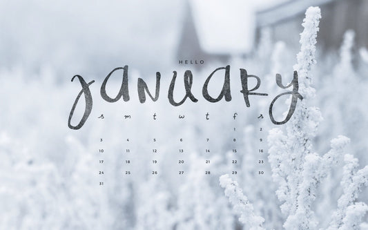 Why January is Actually the Perfect Time to Sort Your Outdoor Space