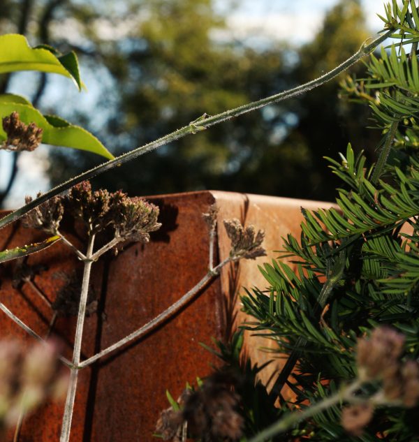 Handmade Corten Steel Cube Pond | British Made Garden Water Feature