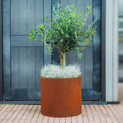 GrillSymbol Corten Steel Planter Myy 3XL