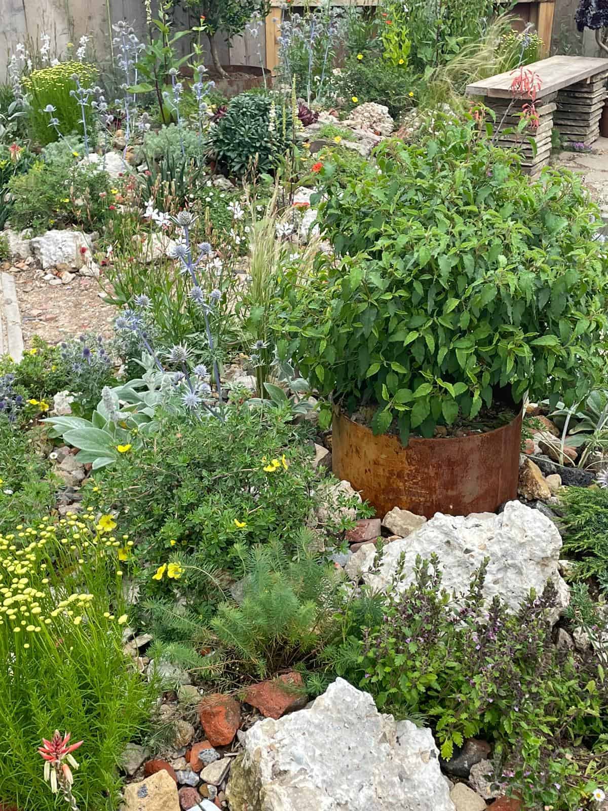 Hampton Bottomless Cylindrical Planter Rustic Patina Steel