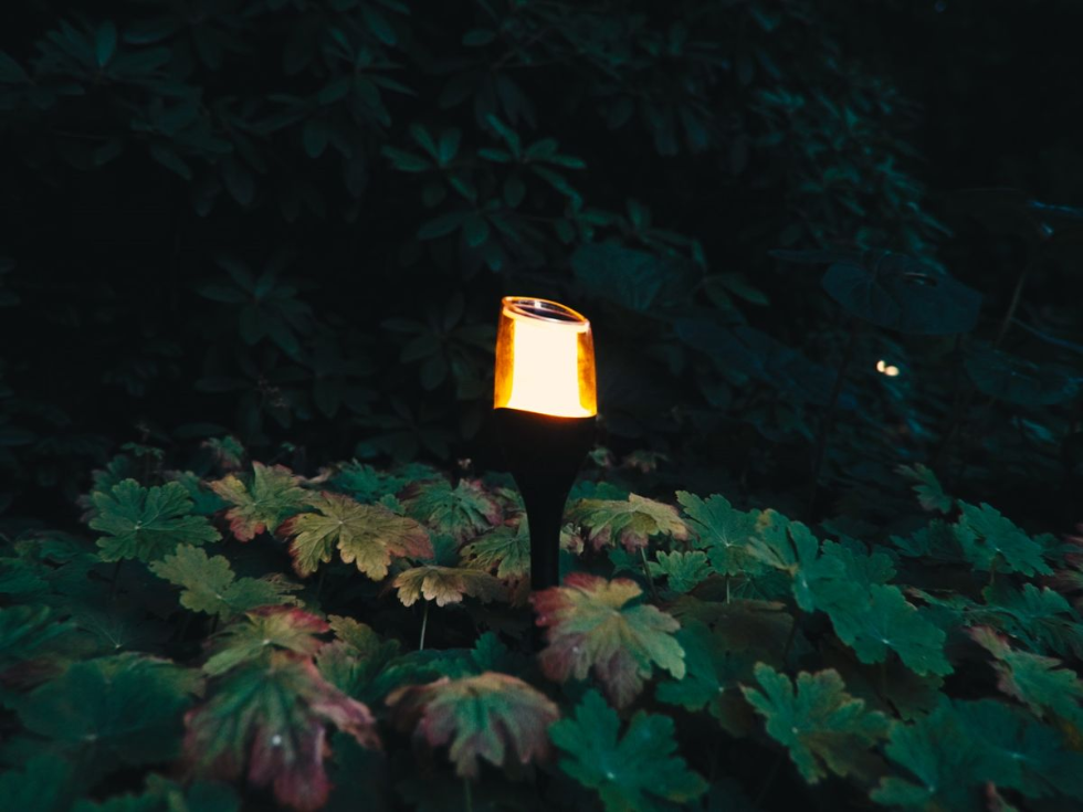 ZOLUNA Anky Solar Flame Light | Realistic Flickering Flame Garden Lamp