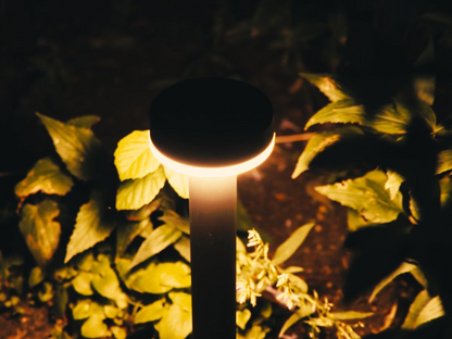ZOLUNA Guus Solar Spike Light | Motion Sensor Garden Light with USB Charging