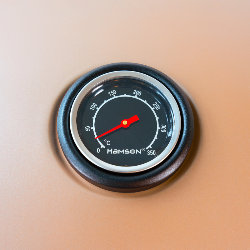 Ryde Compact Gas BBQ Grill with 3 Burners and Fold-Out Side Shelves