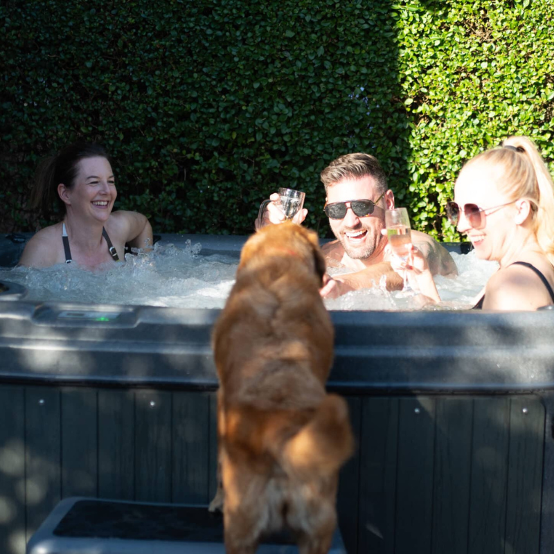 RotoSpa DuraSpa S380 6-Person Luxury Hot Tub & Ice Bath